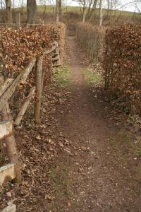 GM520-08 Weg z Pelzgarten 2017 (Large)