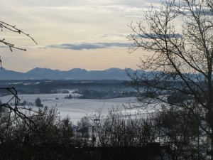 IMG_4112        