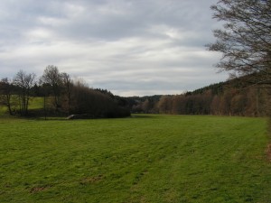 Reisenthal       